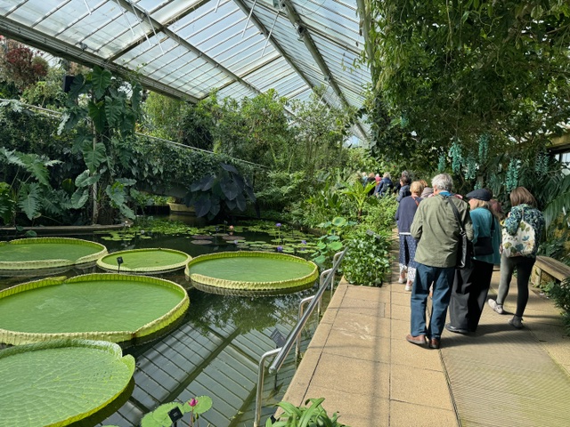 In the PoW Conservatory